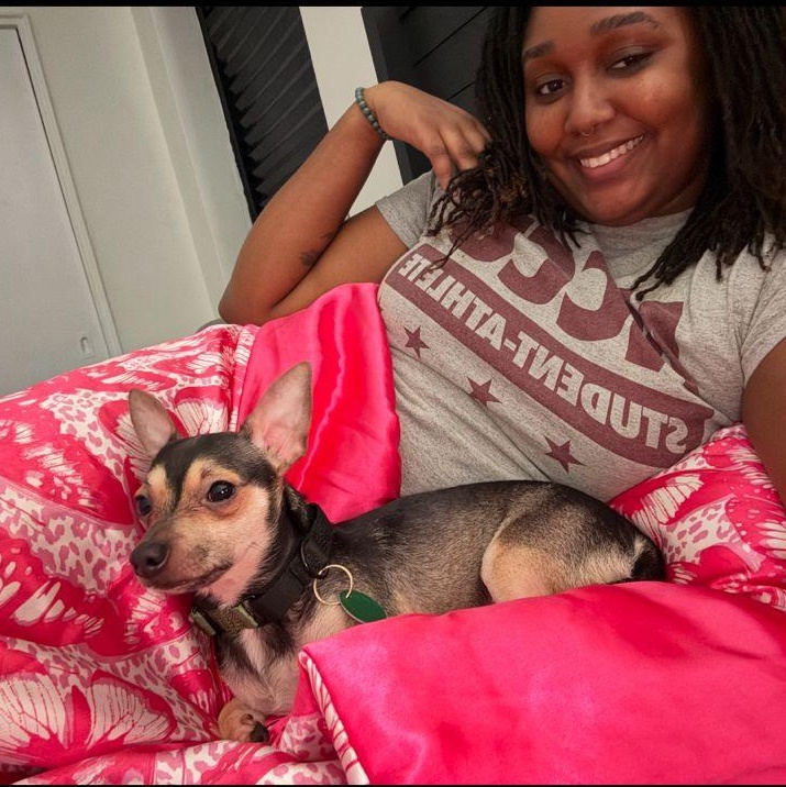 Enlarge Rooney, a ADOPTABLE Chihuahua in Yonkers, NY image 5/5