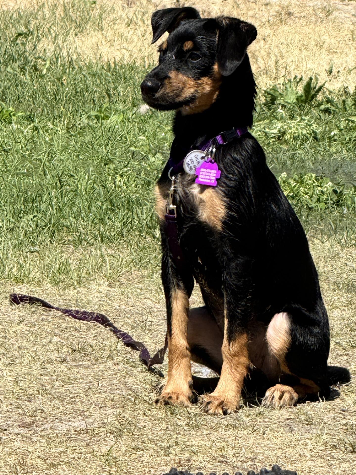 Annie