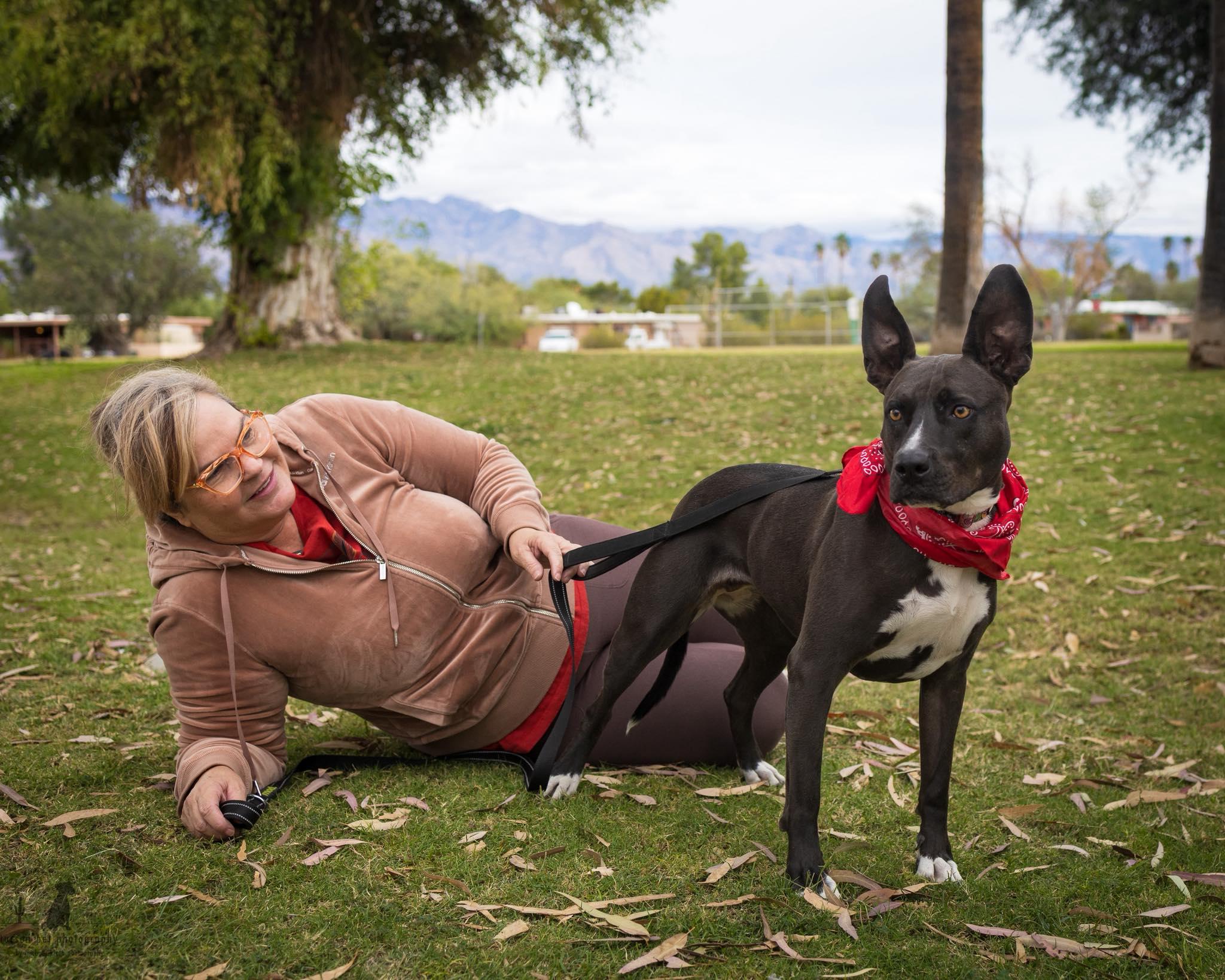 Enlarge Amber, a ADOPTABLE mixed breed in Tucson, AZ image 4/4