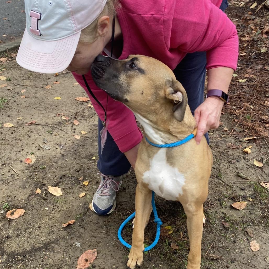 Bowen 5186 — thumbnail 3