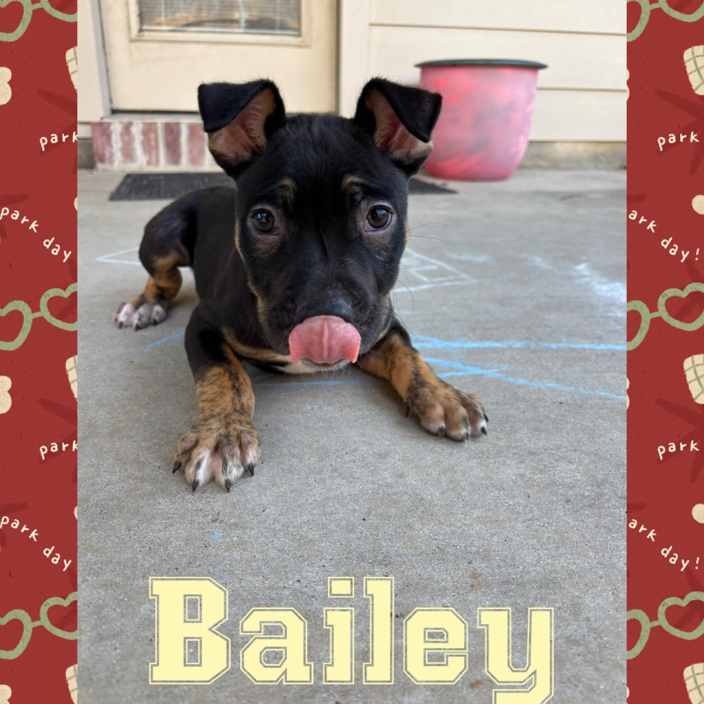 Bailey