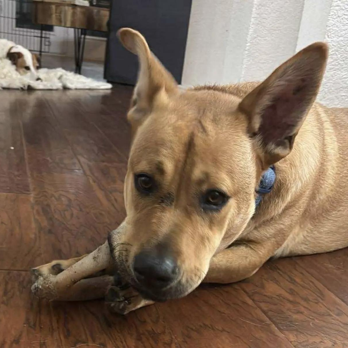 Maverick thumbnail 5