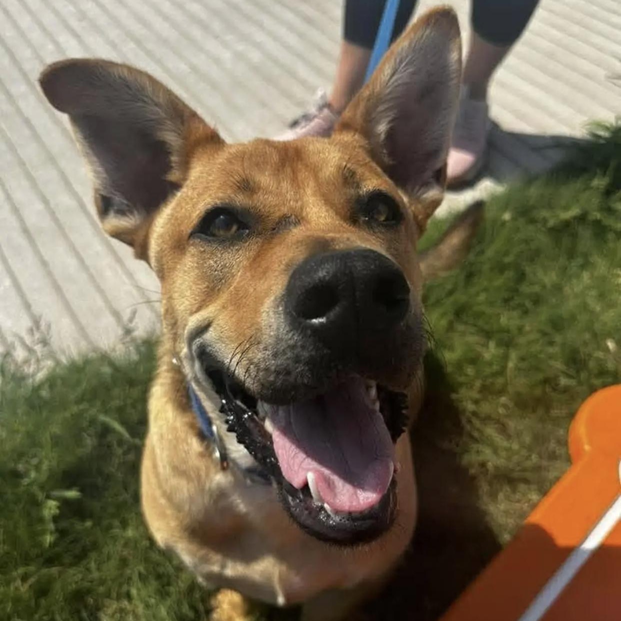 Maverick thumbnail 2