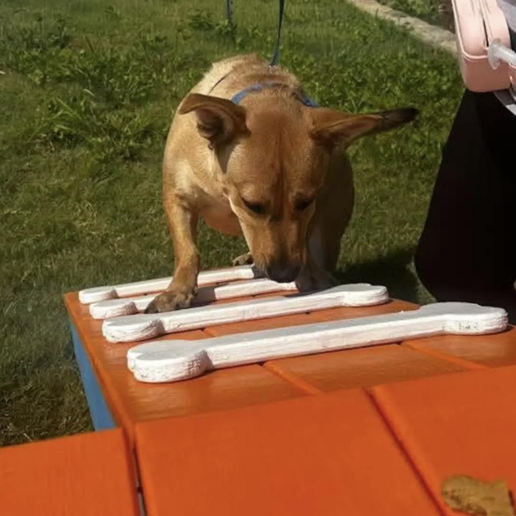 Maverick thumbnail 3