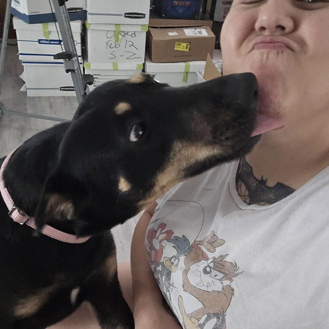 Ghirardelli, a Adoptable mixed breed in Conroe, TX image 5/6