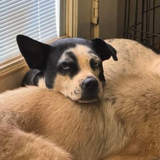 Wilma (20260211-08) — thumbnail 2