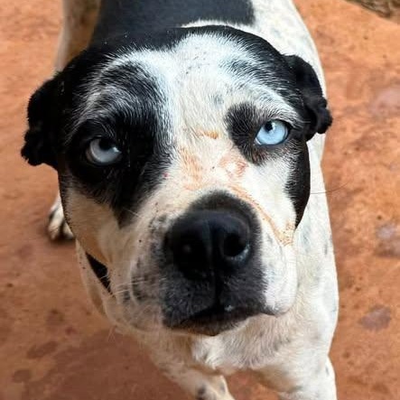 Wilma (20260211-08) — thumbnail 4