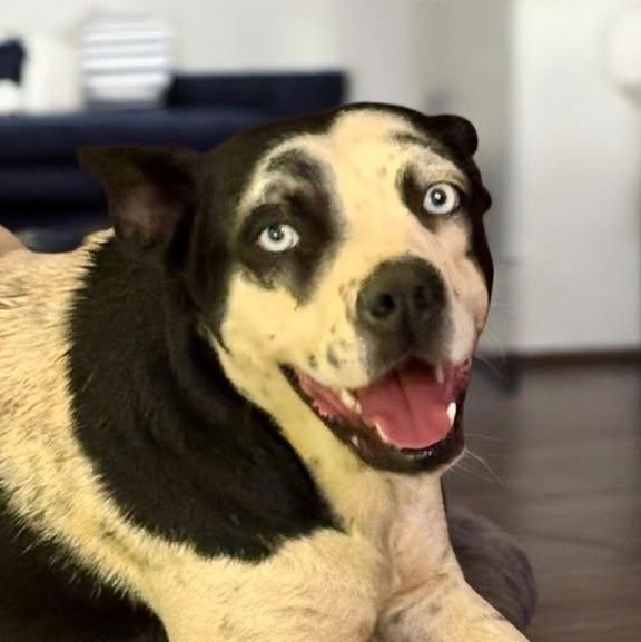 Wilma (20260211-08) — thumbnail 6