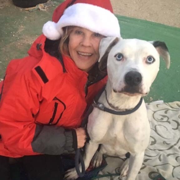 Adorable handsome MAX , a Adoptable mixed breed in Acton, CA image 2/6