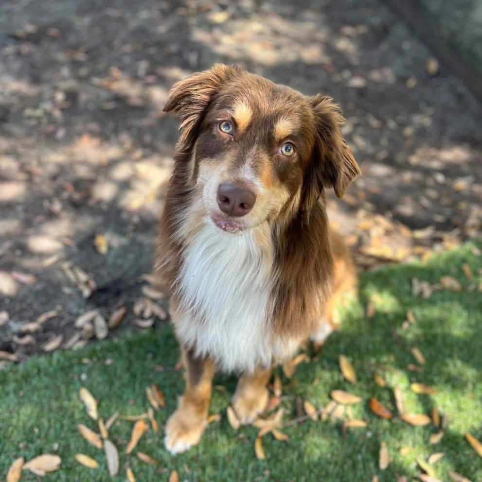 Milo