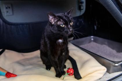 Annette — thumbnail 2