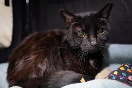 Annette — thumbnail 3