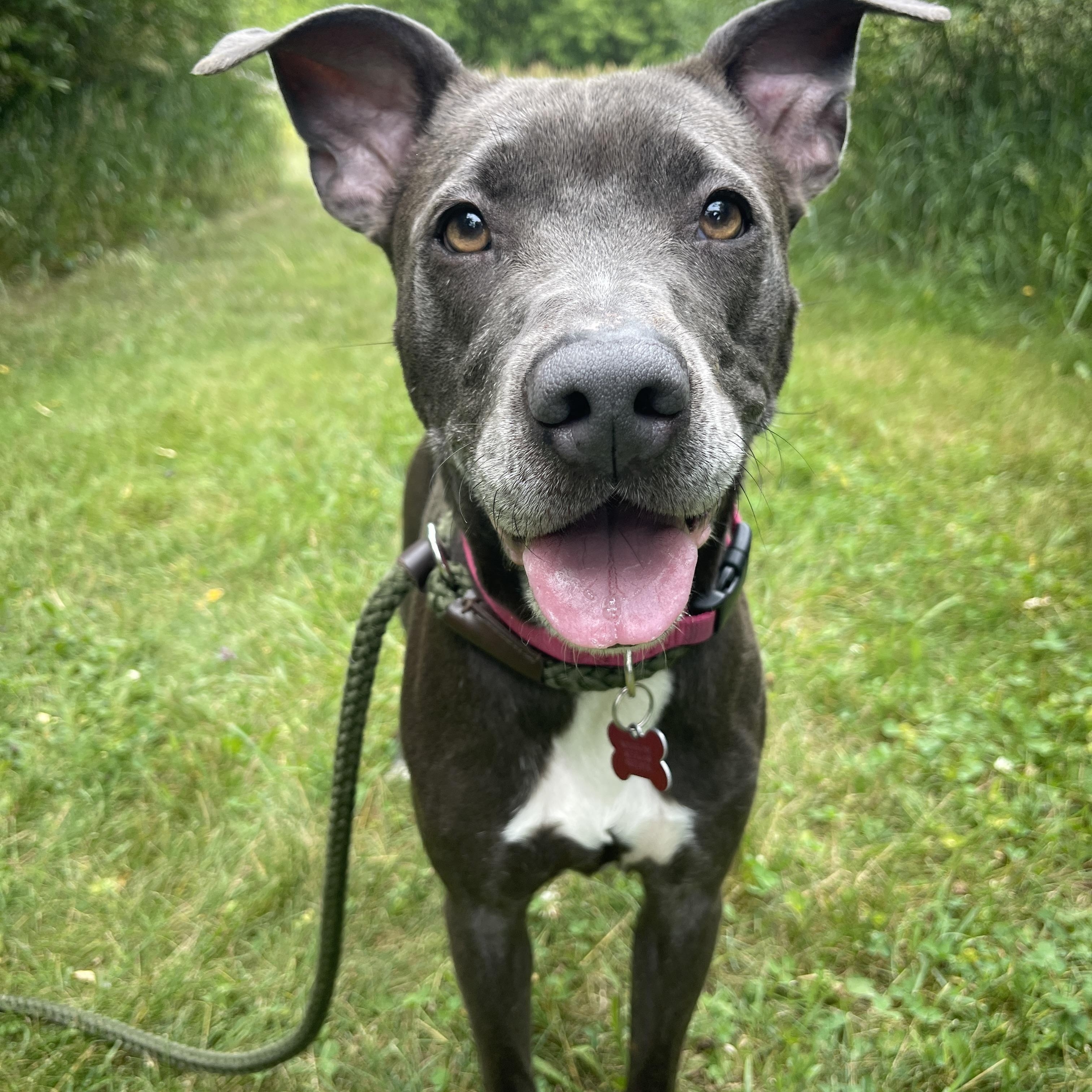 Penelope, Senior Female unknown
