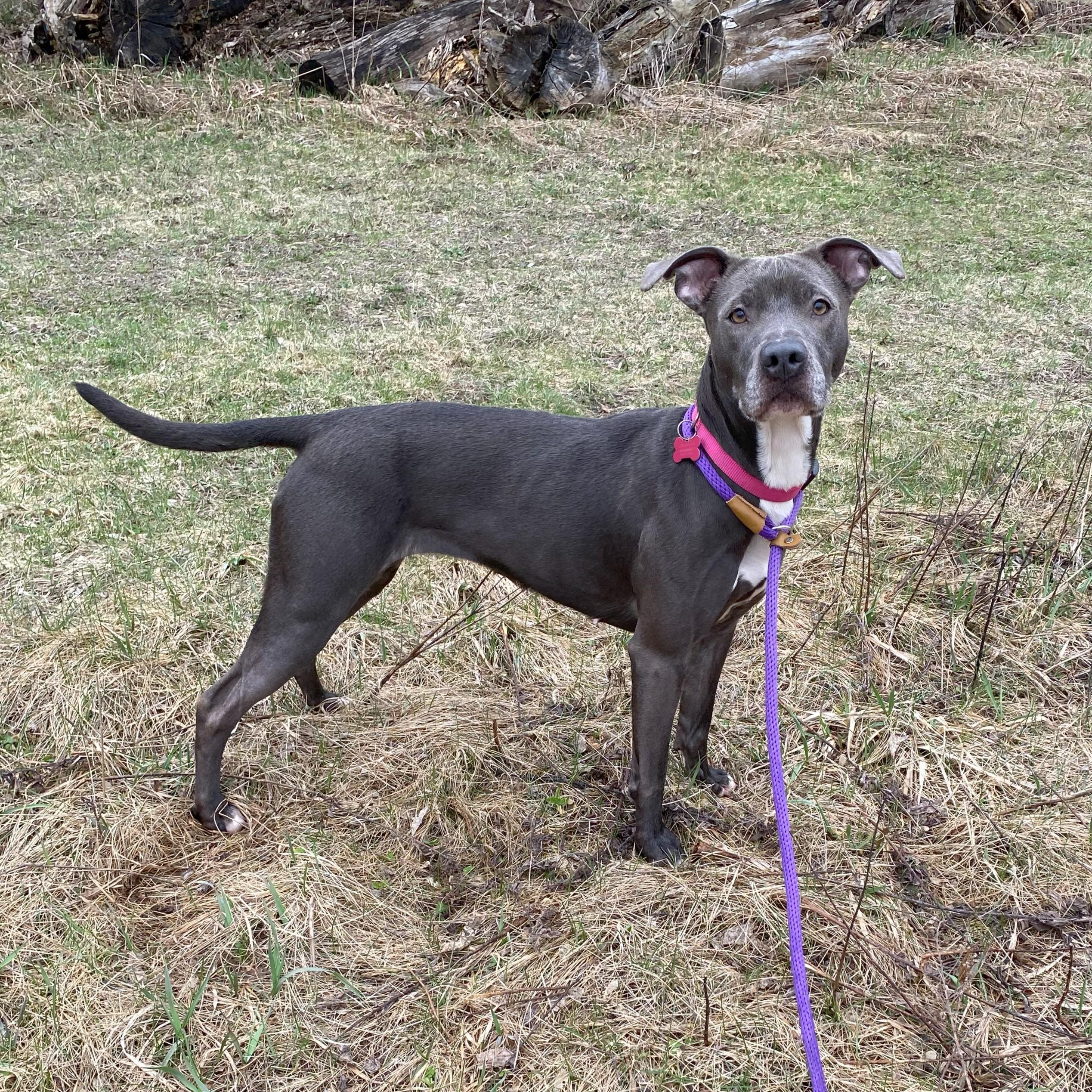 Penelope photo 4