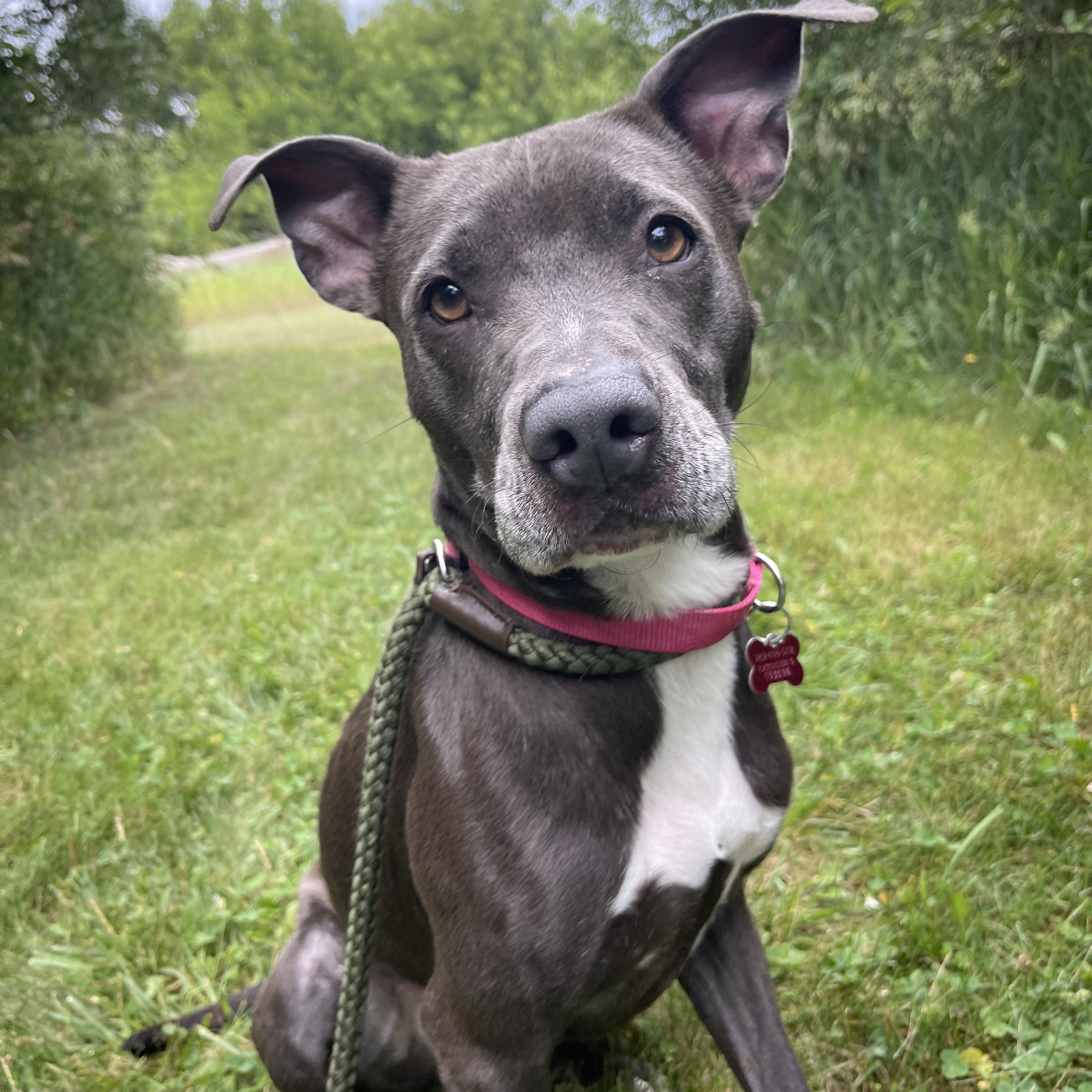 Penelope photo 5