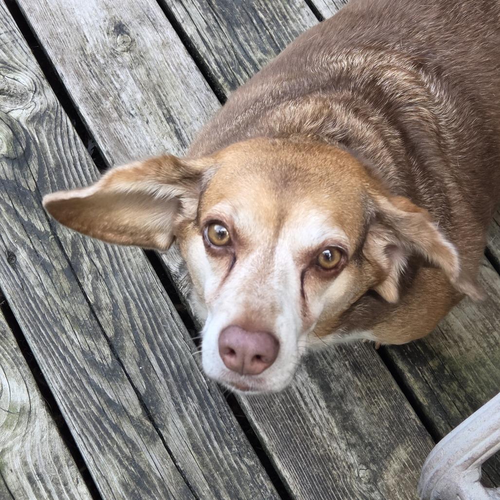 Maggie Foster Needed photo