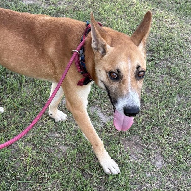 Flako — thumbnail 3