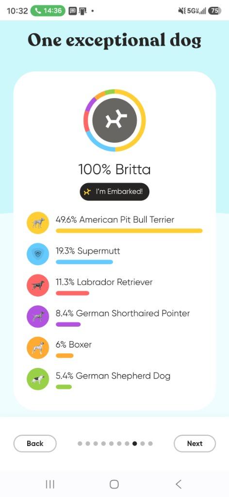 Enlarge Britta, a Adoptable Catahoula Leopard Dog in Minot, ND image 1/4