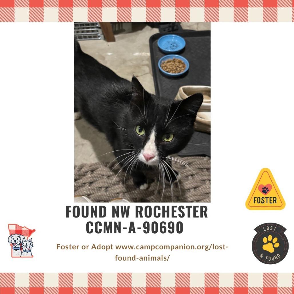 Boots — thumbnail 2