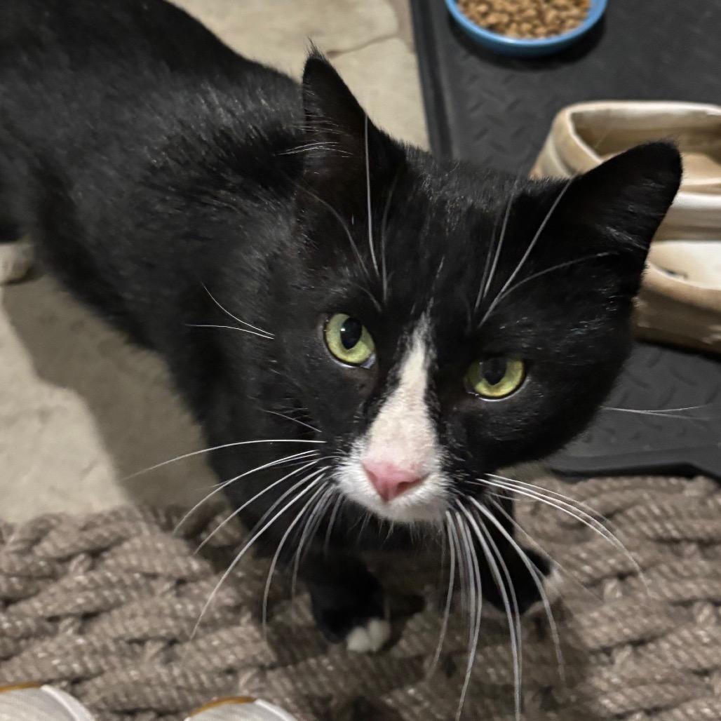 Boots — thumbnail 3