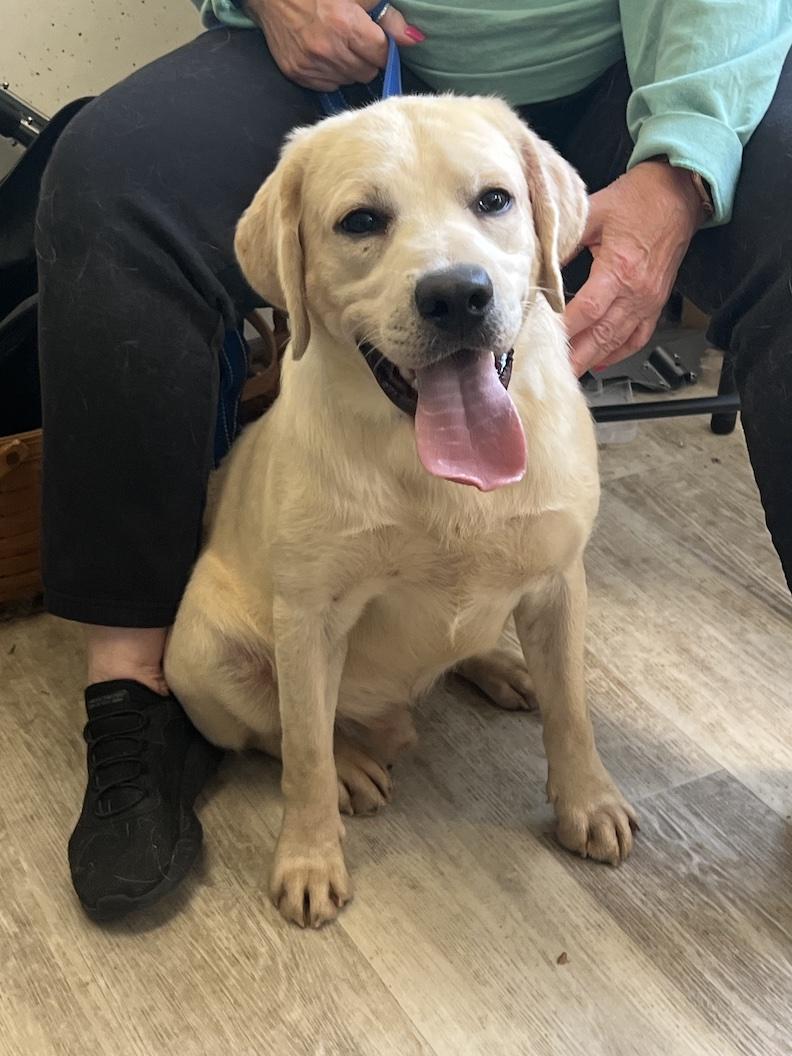 RETRIEVER RETIREMENT PROJECT---OWNER REHOME/LELRR PARTNERSHIP