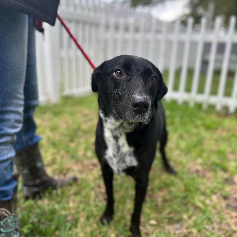 Dora — thumbnail 2