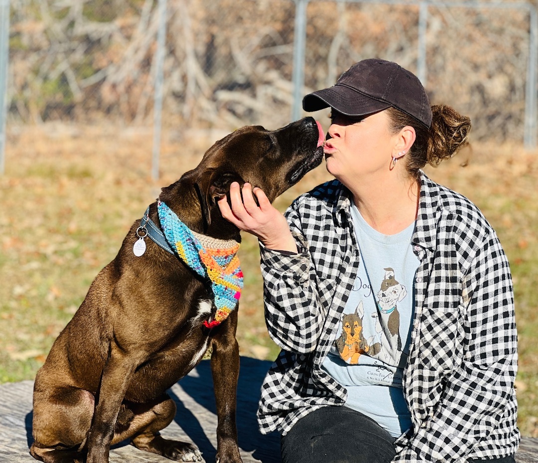 Maverick — thumbnail 2