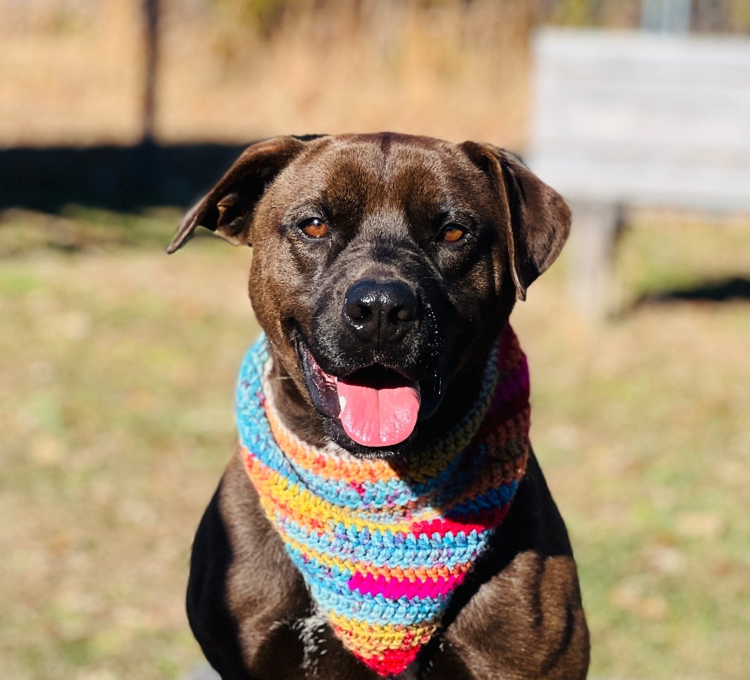 Maverick — thumbnail 5