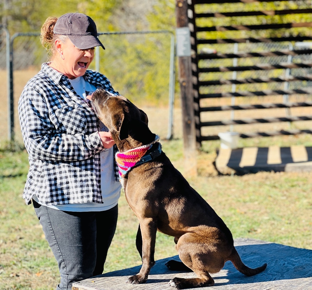 Maverick — thumbnail 6