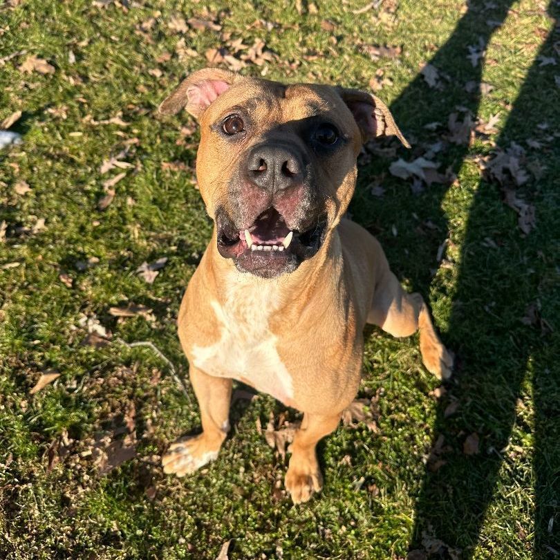 Tyson photo 2