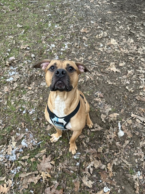 Tyson photo 3