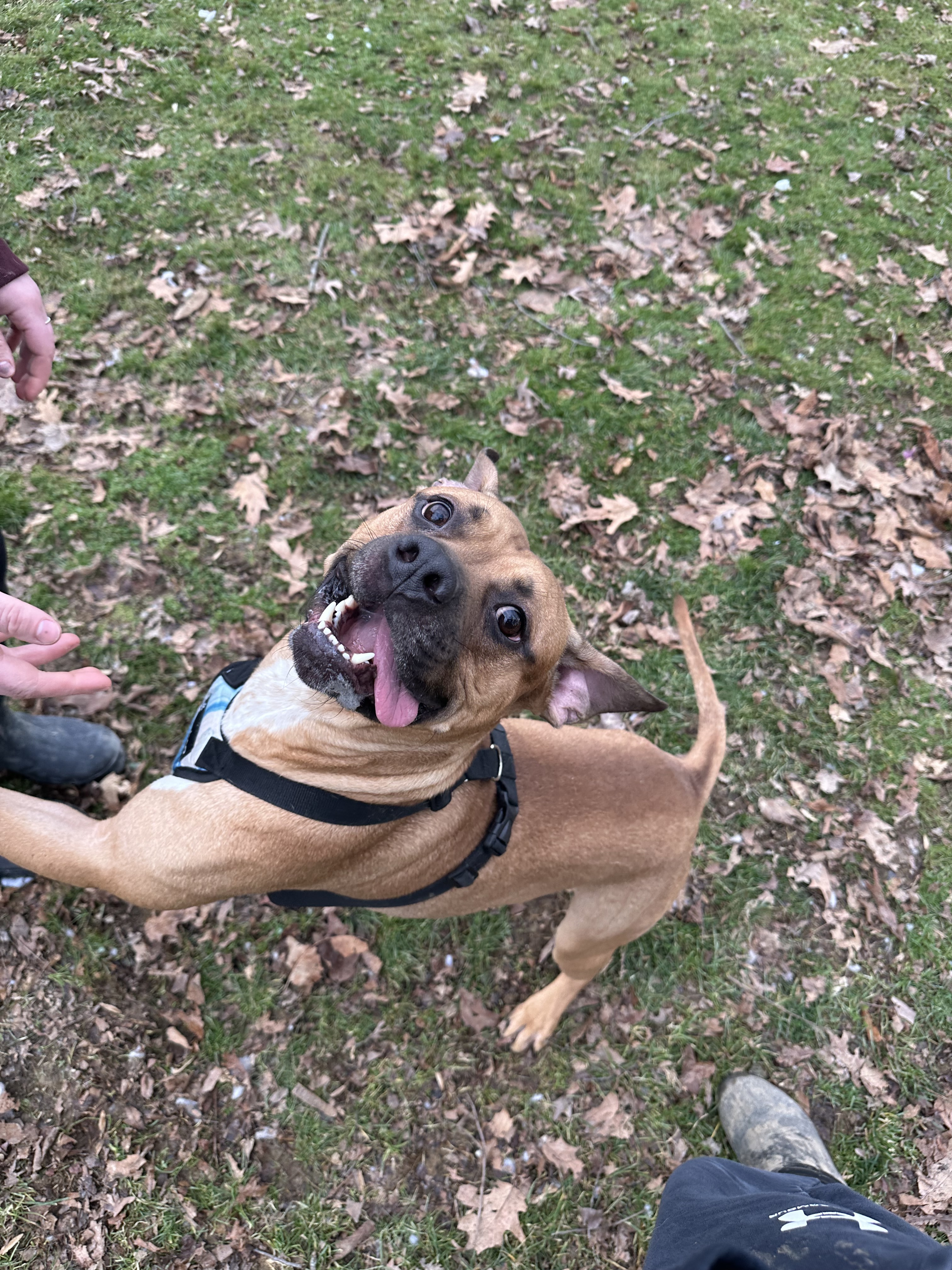 Tyson photo 6