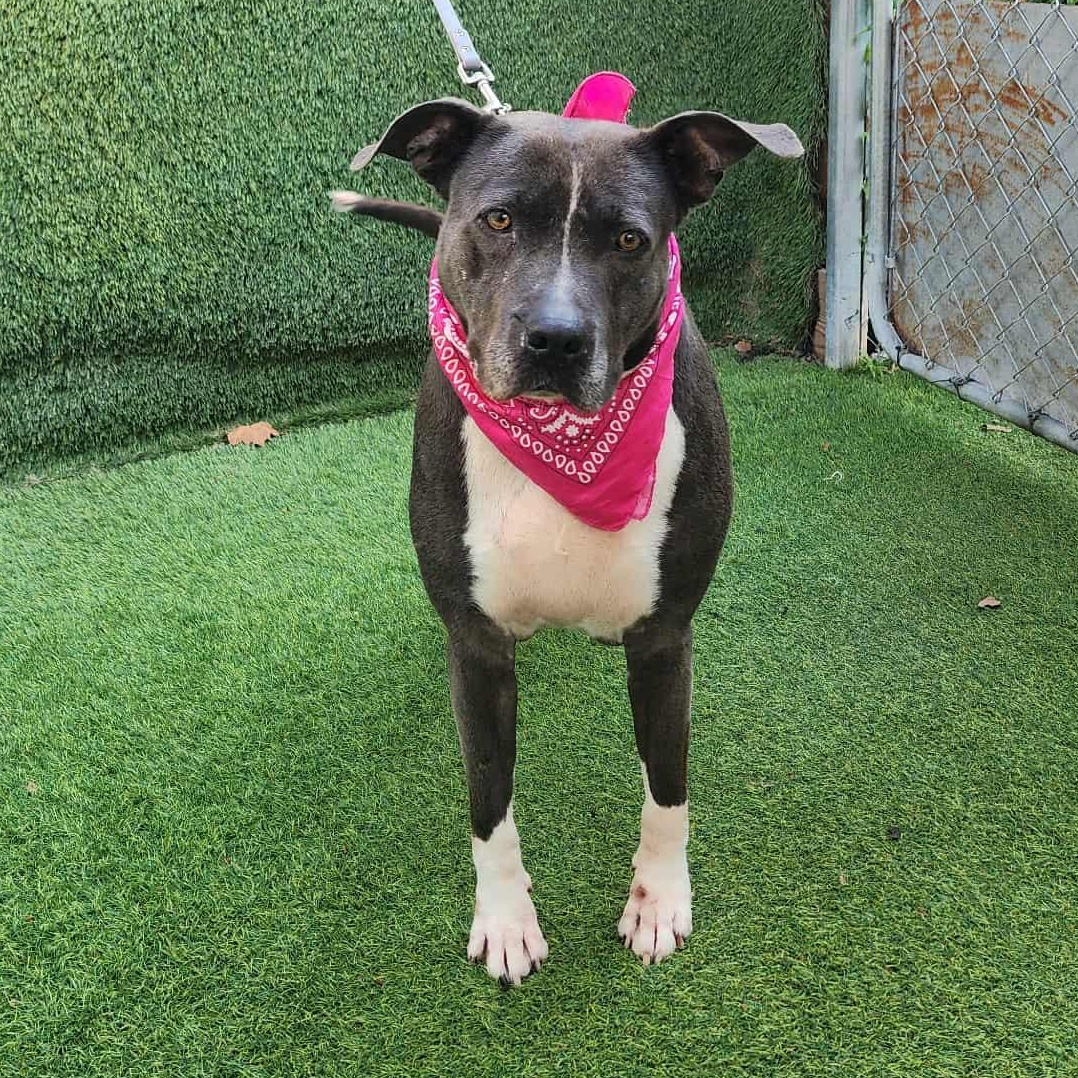 Denver — thumbnail 5