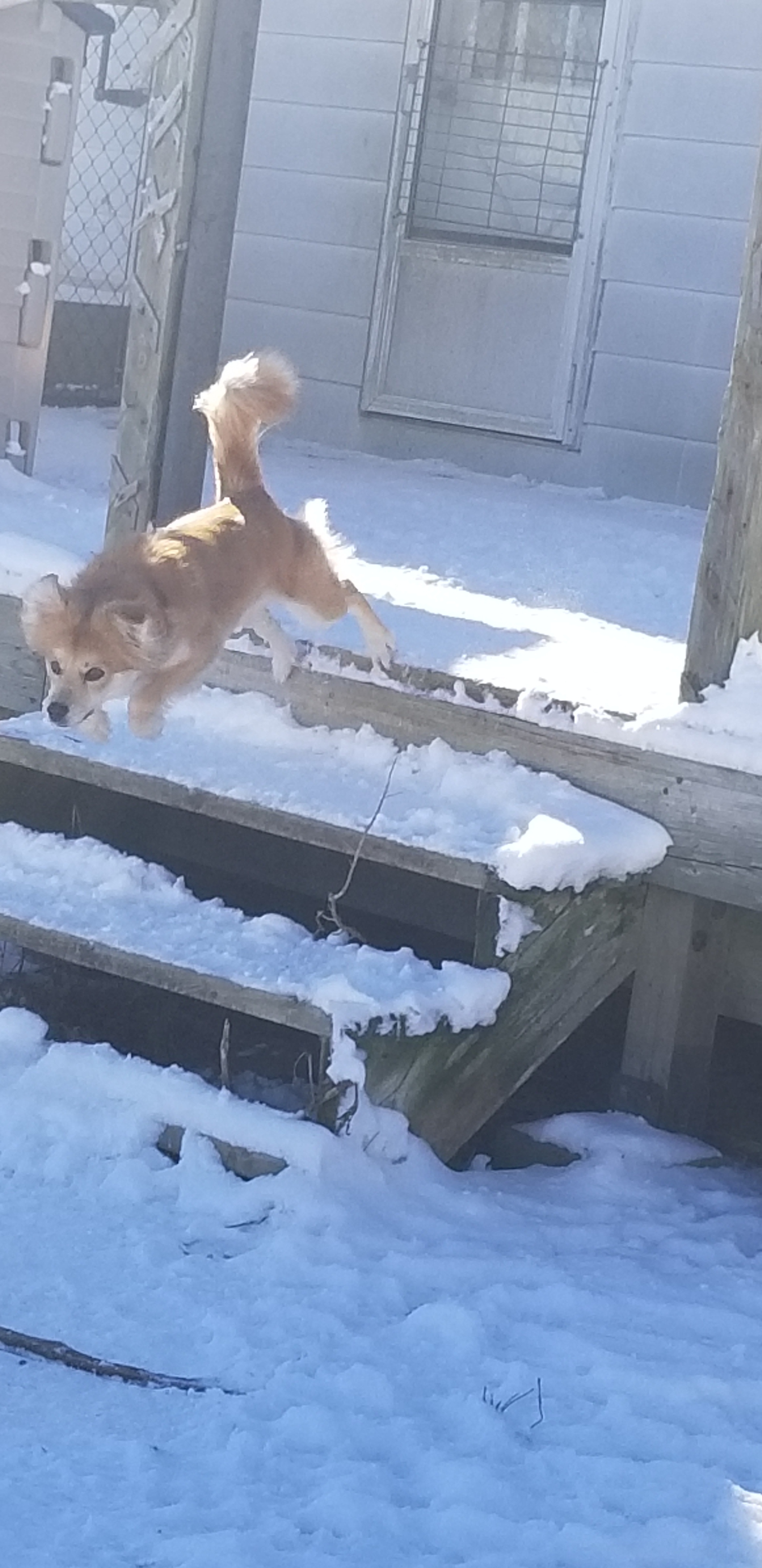 Peaches photo 1