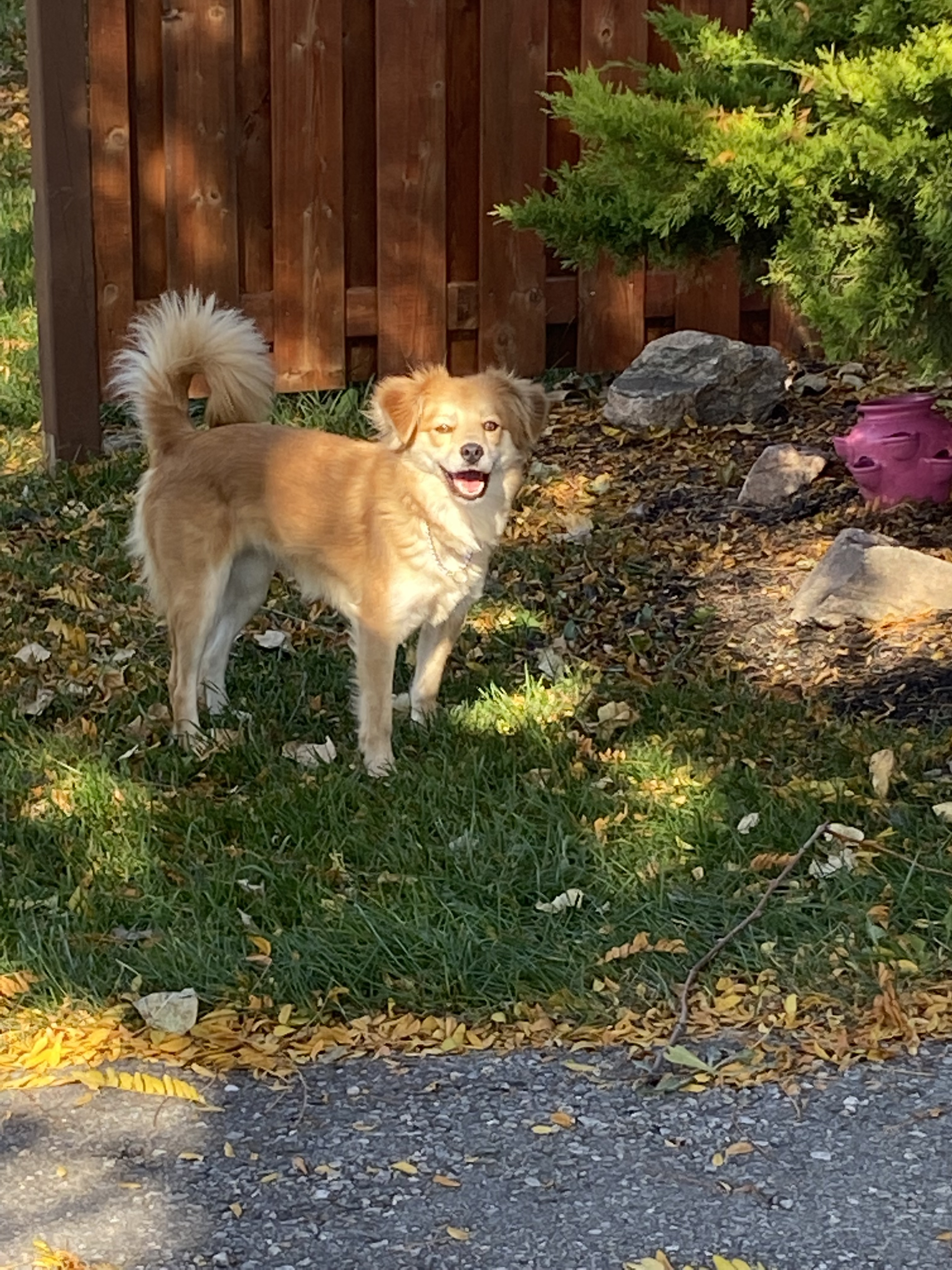 Peaches photo 2