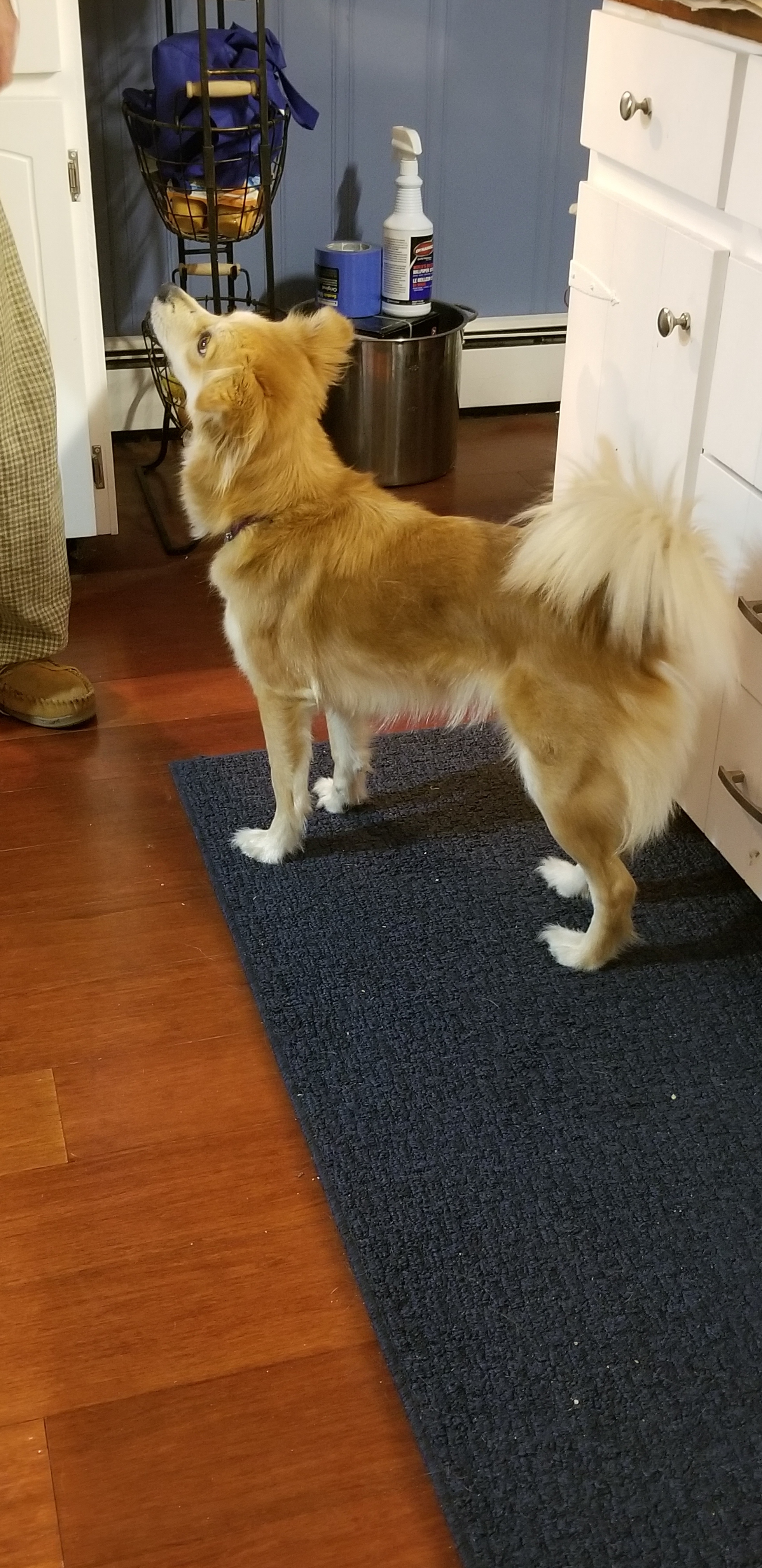 Peaches photo 5