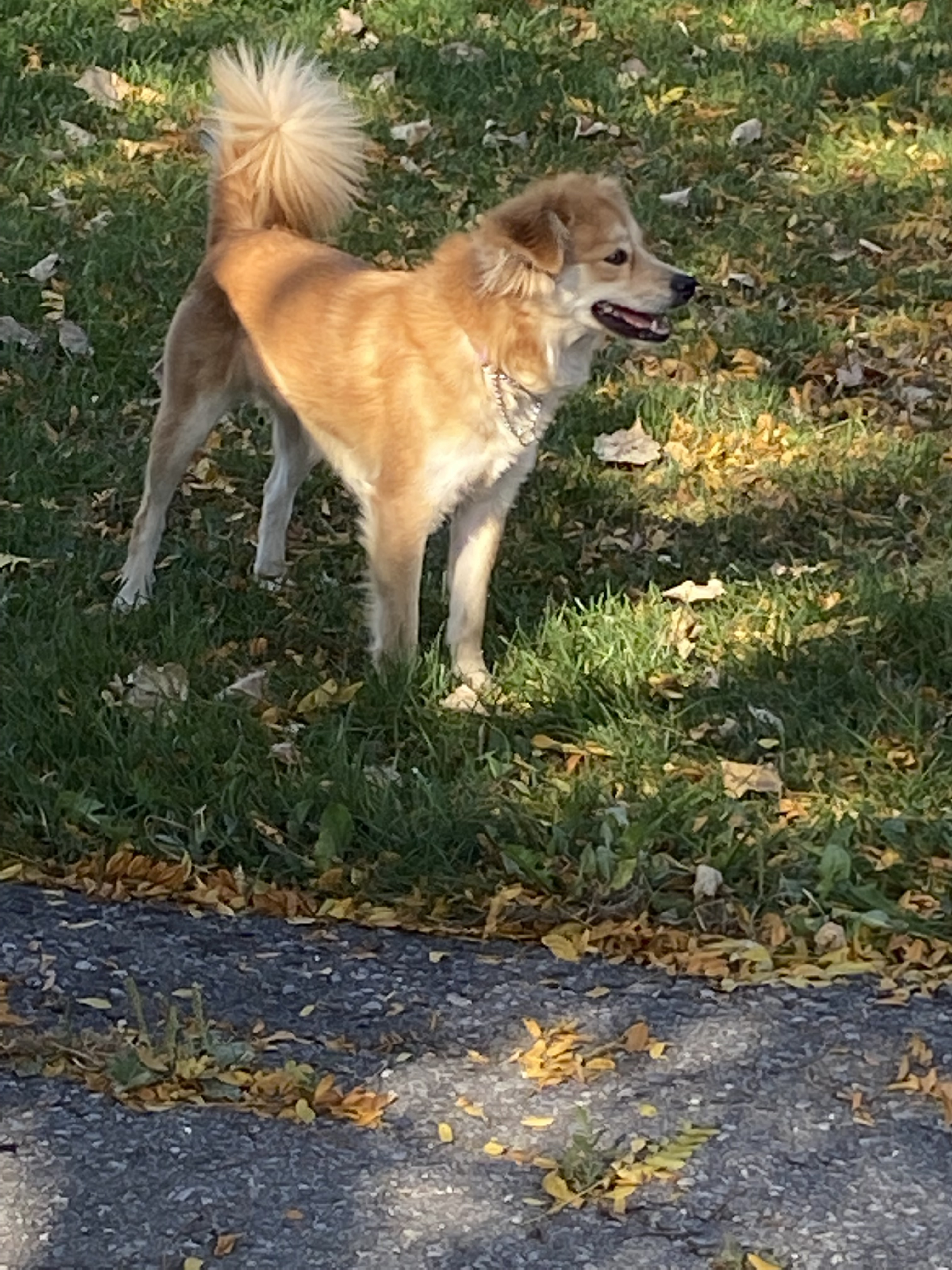 Peaches photo 4