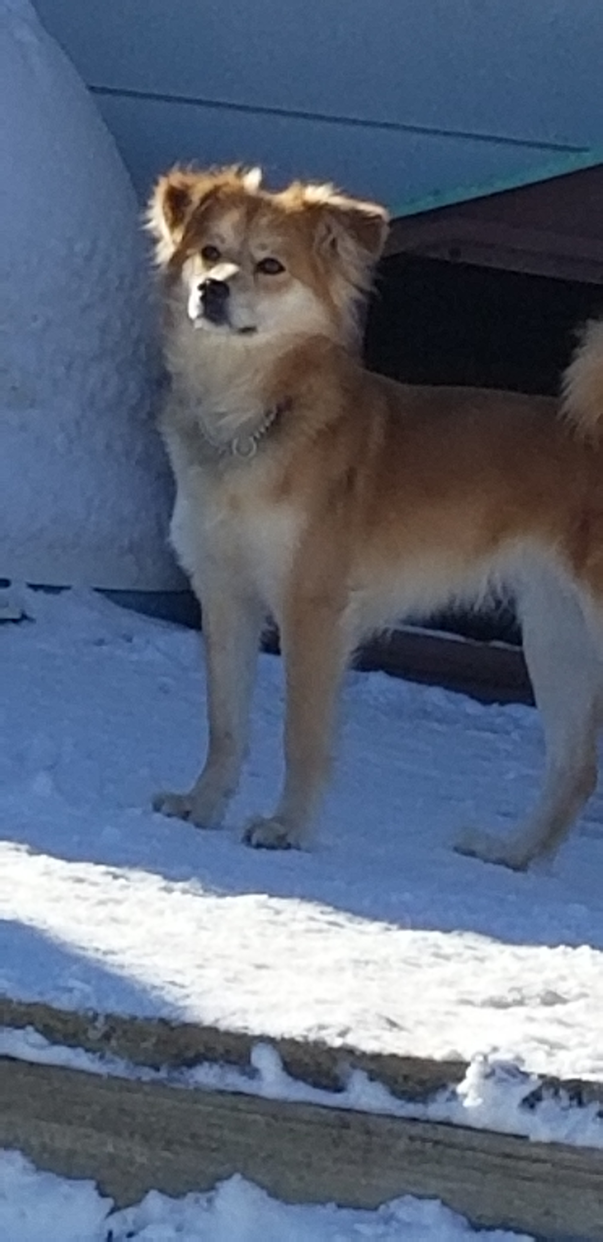Peaches photo 3