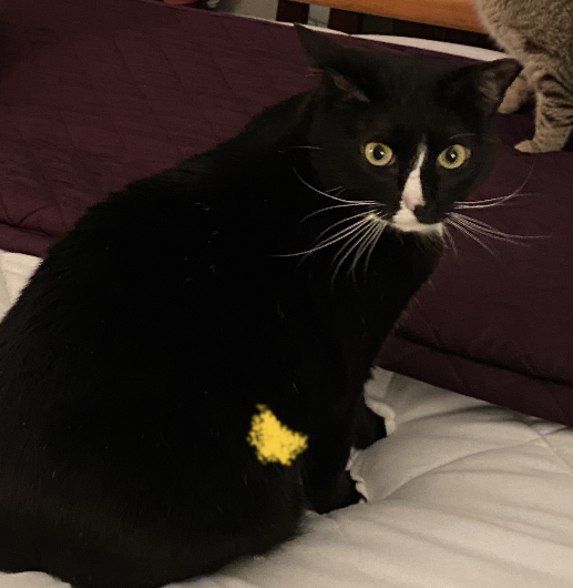 Binky photo 3