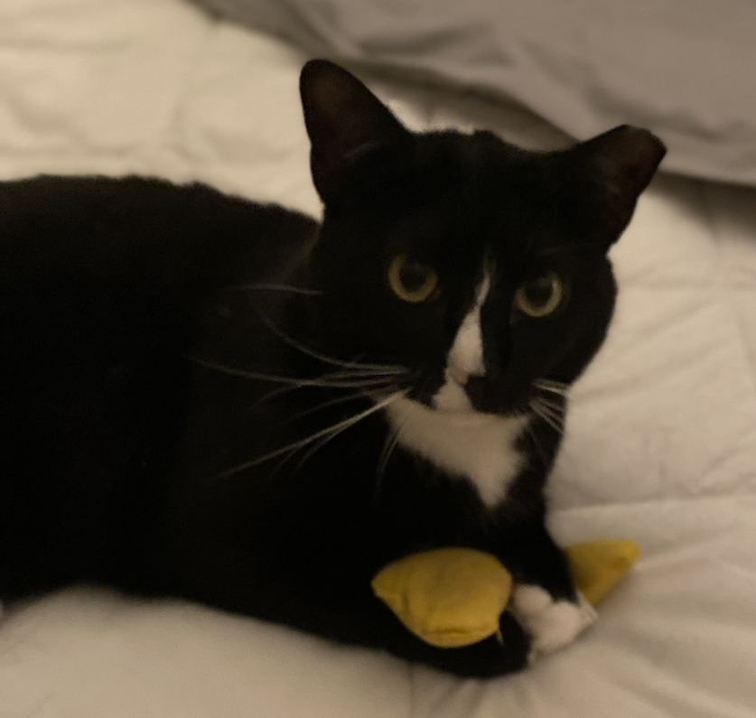 Binky photo 2