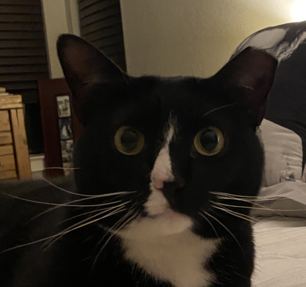 Binky