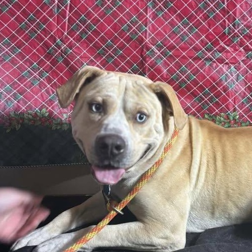 Koki (20260126-04) — thumbnail 2