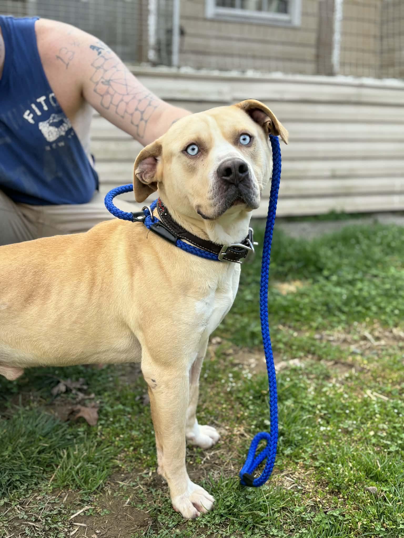 Koki (20260126-04) — thumbnail 3