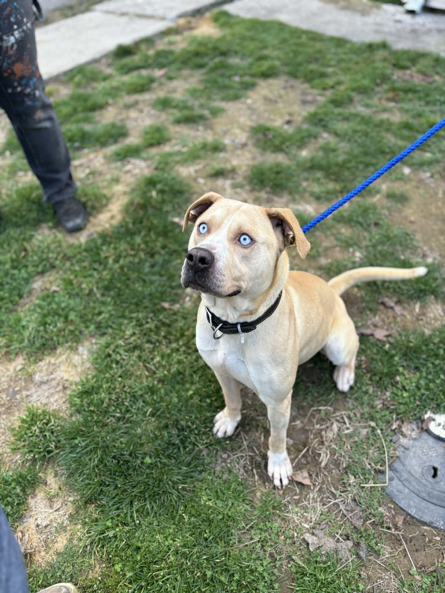 Koki (20260126-04) — thumbnail 5