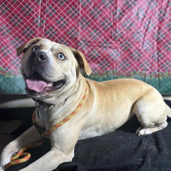 Koki (20260126-04) — thumbnail 6