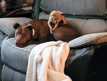 Willy  Never Met thumbnail 4