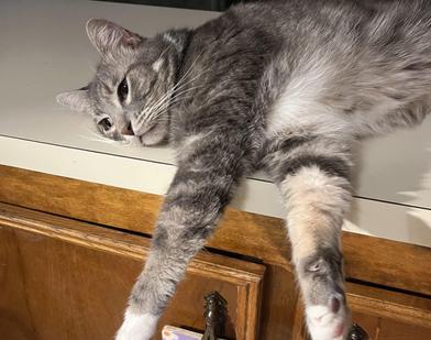 Charles — thumbnail 2