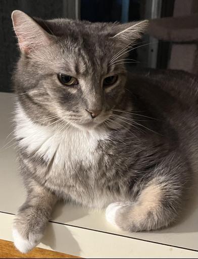 Charles — thumbnail 3