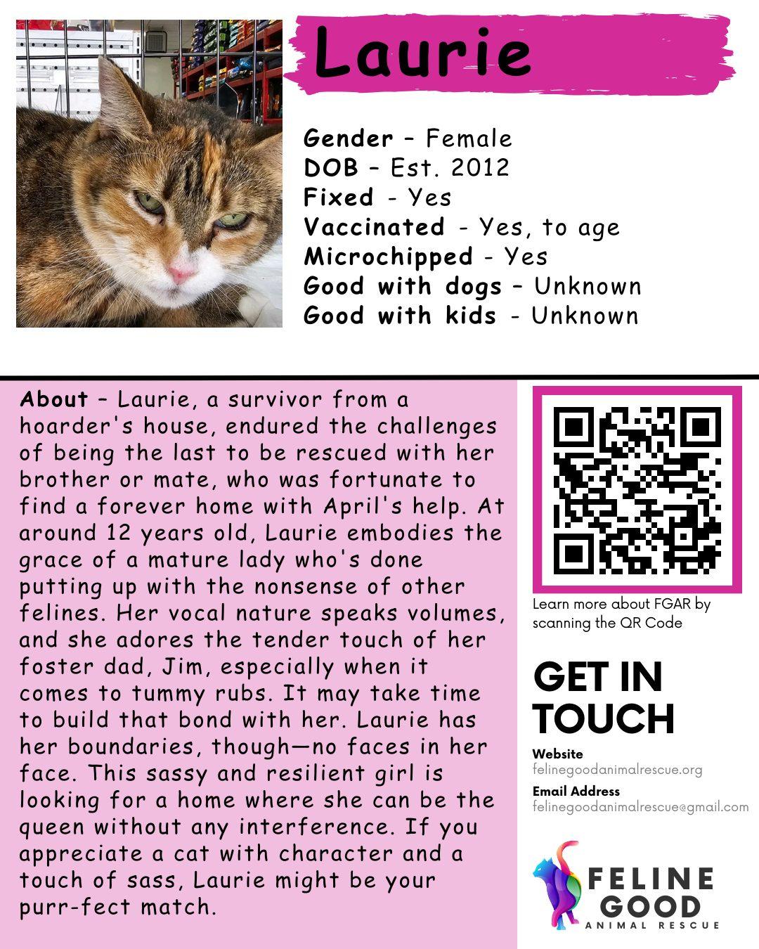 Laurie, a Adoptable Domestic Short Hair in Eugene, OR image 4/4