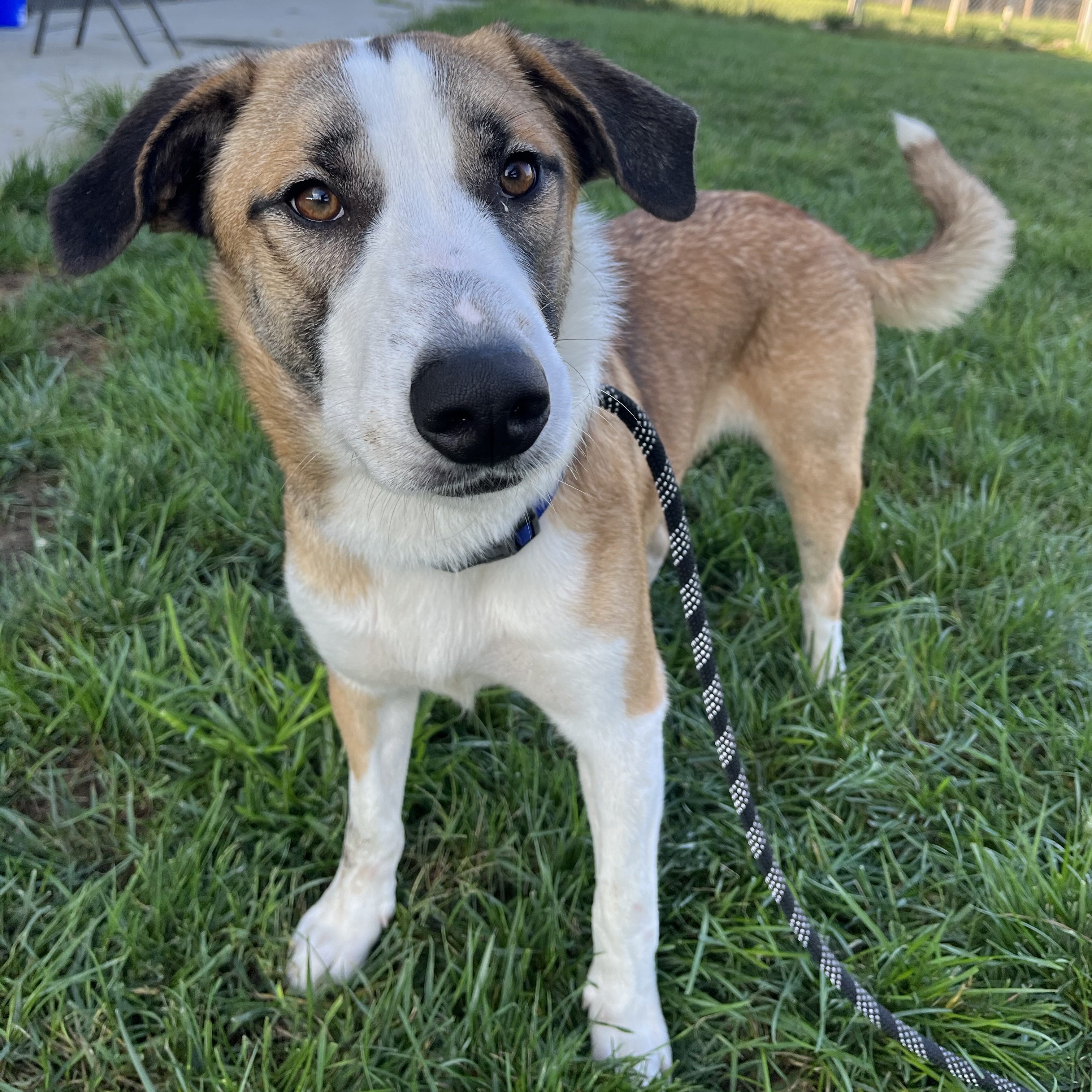 Axel